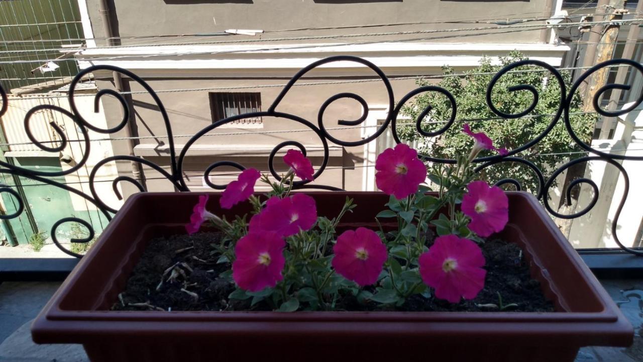 Hotel Casa Fibonacci Valparaíso Zewnętrze zdjęcie